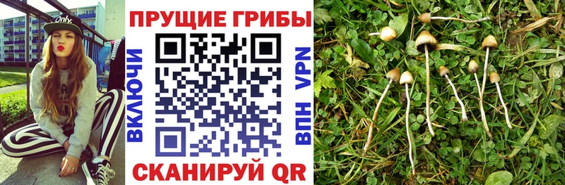 Галлюциногенные грибы мухоморы Покровск